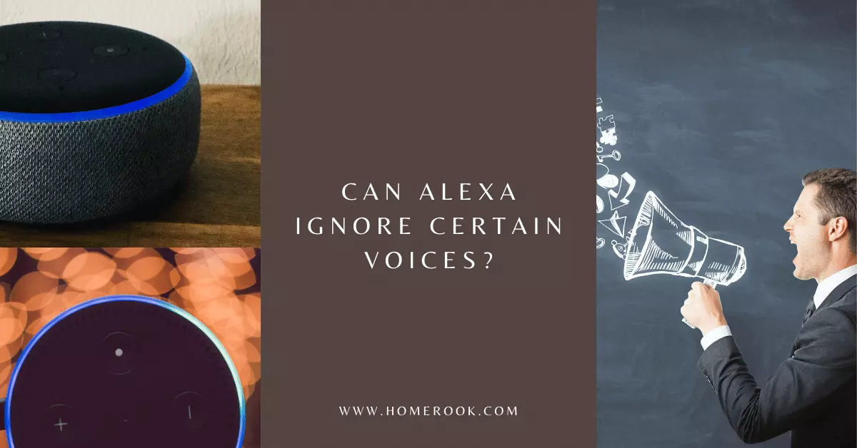 Can Alexa Ignore Certain Voices_