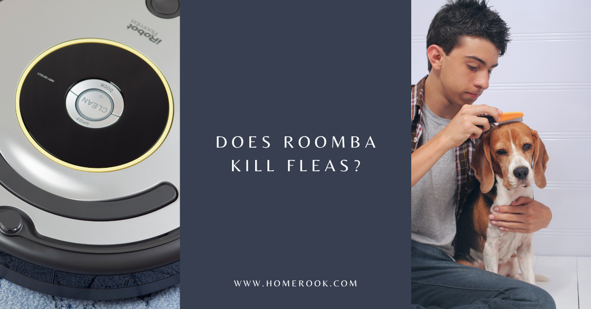 does roomba kill fleas